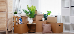 7 Things to Get Before You Move 